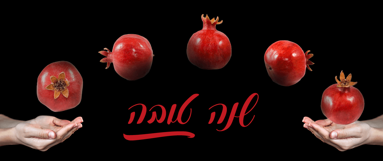 Newyear1