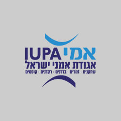 לוגו אמי | אגודת אמני ישראל
